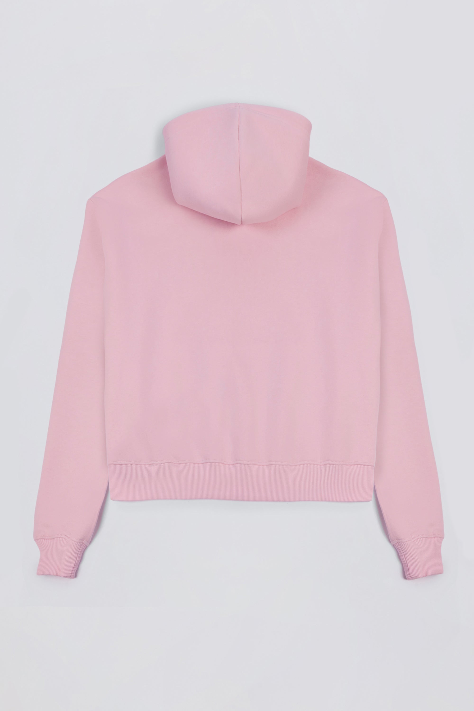 Embroidered Oversized Hoodie in Bloom